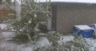 Canada's week of wacky weather