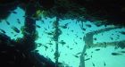 Russia finds WWII Nazi arms ship in Baltic