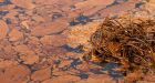 Public, experts offering BP solutions for oil spill