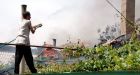 Kyrgyz government urged to hold vote despite violence