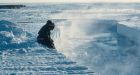 Too little known about Arctic to risk oil spills, scientists warn