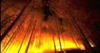 Hundreds flee as wildfire threatens Manitoba town