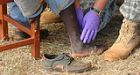 Injured left destitute after Ugandan war