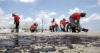 Volunteers ready but left out of oil spill cleanup