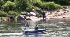 N.L. salmon bounty attracts anglers, tourists