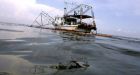 Gulf spill could be contained in days: official