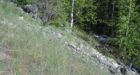 Senior 'in good humour' after car plunges down mountain