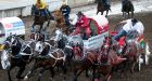 Stampede under fire after sixth horse dies