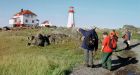 Scientists find new species off Newfoundland's coast