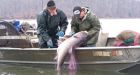 Carp invasion fear causes states to sue