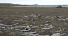 Arctic ship graves a 'rewarding' find