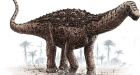 Full dinosaur skeletons found in China