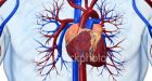 Studies show drug, device help mild heart failure
