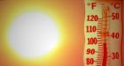 Extreme heat will soon be norm: UN agency