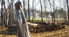 Logger hauls away sculpture mistaken for wood pile