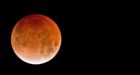 Eclipse best seen online on cloudy B.C. coast