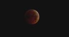Earthlings treated to 2010's only total lunar eclipse