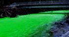 River in Langford, B.C. turns neon green