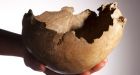 U.K. cave yields ice-age skull cups