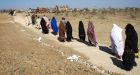 Top al Qaeda commander killed in U.S. drone strike