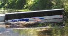 Bus veers into swamp after hitting moose