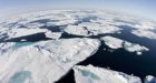 Melting Northwest Passage lets Pacific species cross