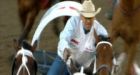 Chuckwagon driver given largest-ever fine