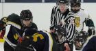 Minor hockey refs link game discipline to safety