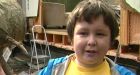 Windstorm pins B.C. boy beneath fallen tree