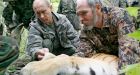 Environmentalists question 'Putin's tigress' claims