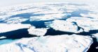 Melting Arctic ice could poison ecosystem, experts say | CTV News