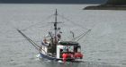 Fishermen rescued after 10 days stranded on island