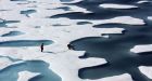 Arctic ice could vanish in 10 years, scientists warn