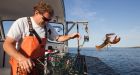Ocean temperatures spark concerns of early lobster harvest, blockade in Canada