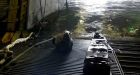 Seal boards Royal Navy ship on exercise off Carnoustie