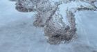 Amazing video of ice jam break up on Saskatchewan River