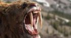 Uncovering the secrets of North America's Ice Age giants