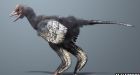 Bird ancestor reshuffles fossil pack