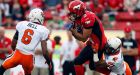 Stampeders run roughshod over Lions