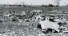 Air Canada crash site gets permanent memorial after 43 years