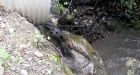 Mine spill response upsets Similkameen locals