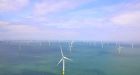 Offshore wind farm scrapped due to fears over birds