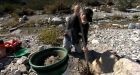 Prospectors Say Drought Has Created California's 2nd Gold Rush