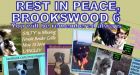 6 missing dogs died in back of Langley dogwalker's truck