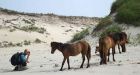 Sable Island opens to public but getting there not easy