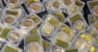 Buried gold coins go up for sale; trove valued at $11 million