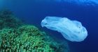 Ocean Garbage Patch Is Mysteriously Disappearing