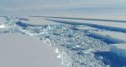 Extent of Antarctic sea ice reaches record levels, scientists say