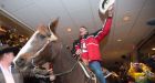 Grey Cup tradition: Calgary fan rides horse into Vancouver hotel