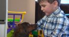 Cat and dog flea treatments can be toxic to pets, humans